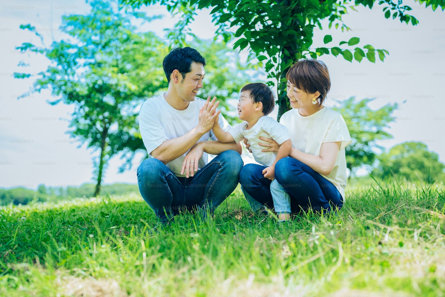生命保険で相続税を減らす方法|非課税枠の仕組みと注意点を解説